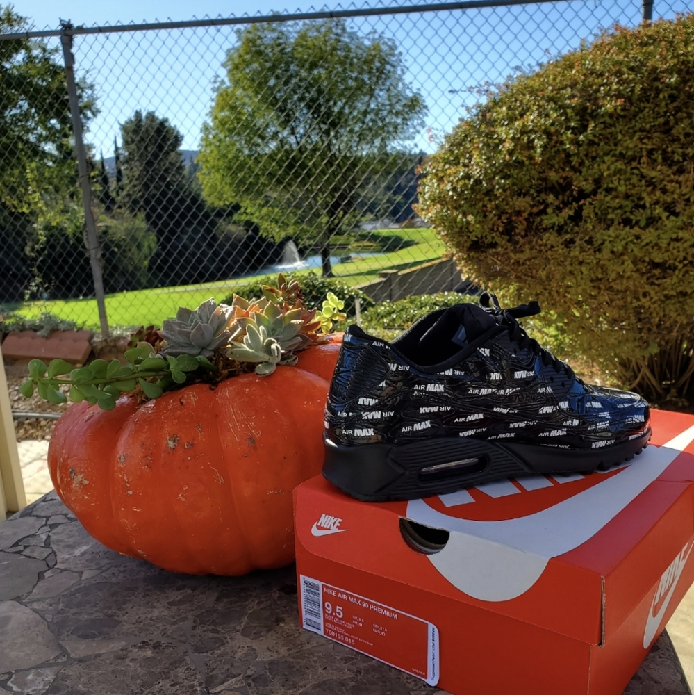Nike air max